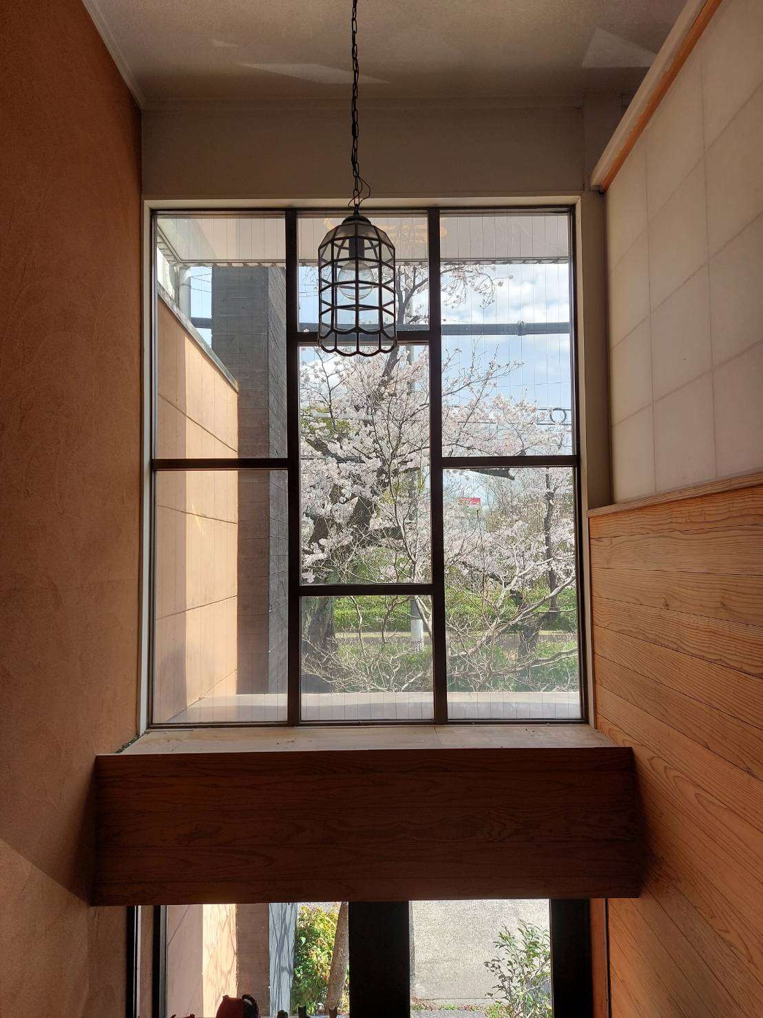 桜の季節は藤吉建築設計事務所へ是非。
